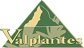 Valplantes - Plantes aromatiques et médicinales  biologiques du Valais